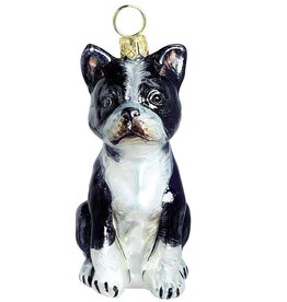 JTW Boston Terrier