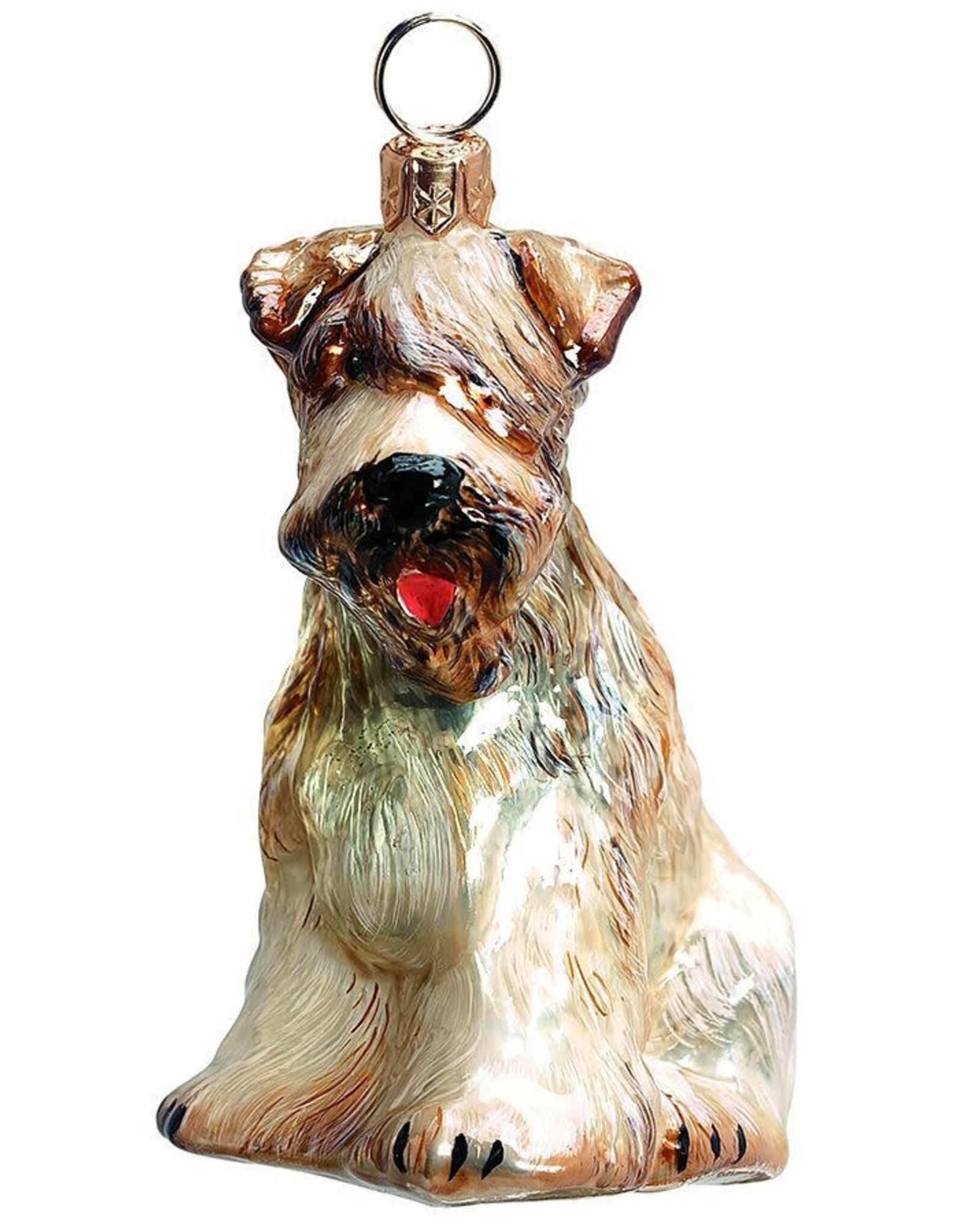 JTW Soft Coated Wheaten Terrier