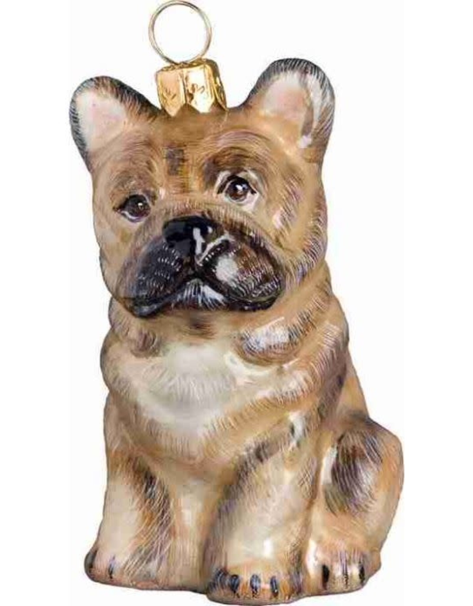 JTW French Bulldog Cream