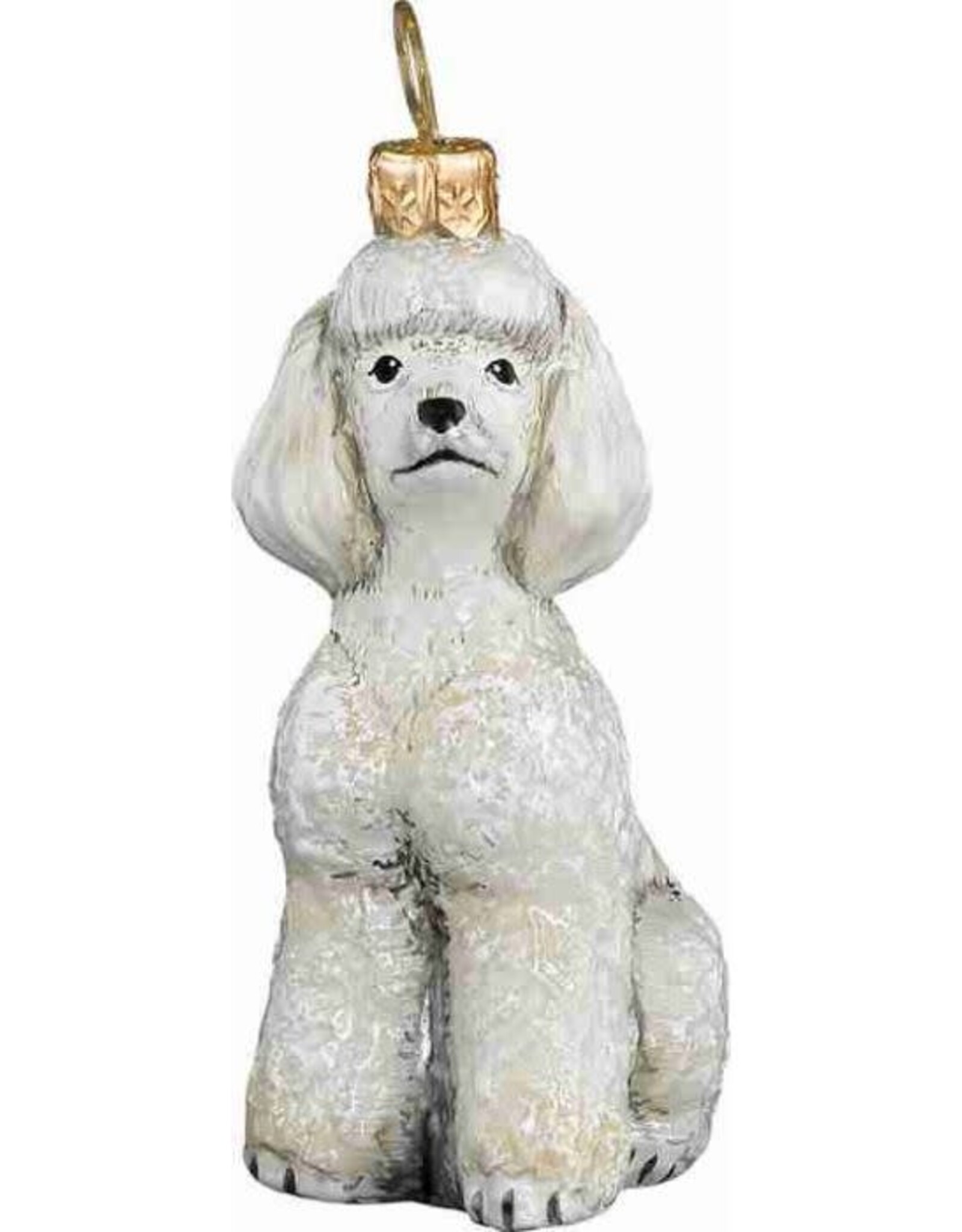 JTW Toy Poodle White