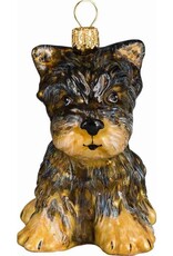 JTW Yorkshire Terrier Puppy