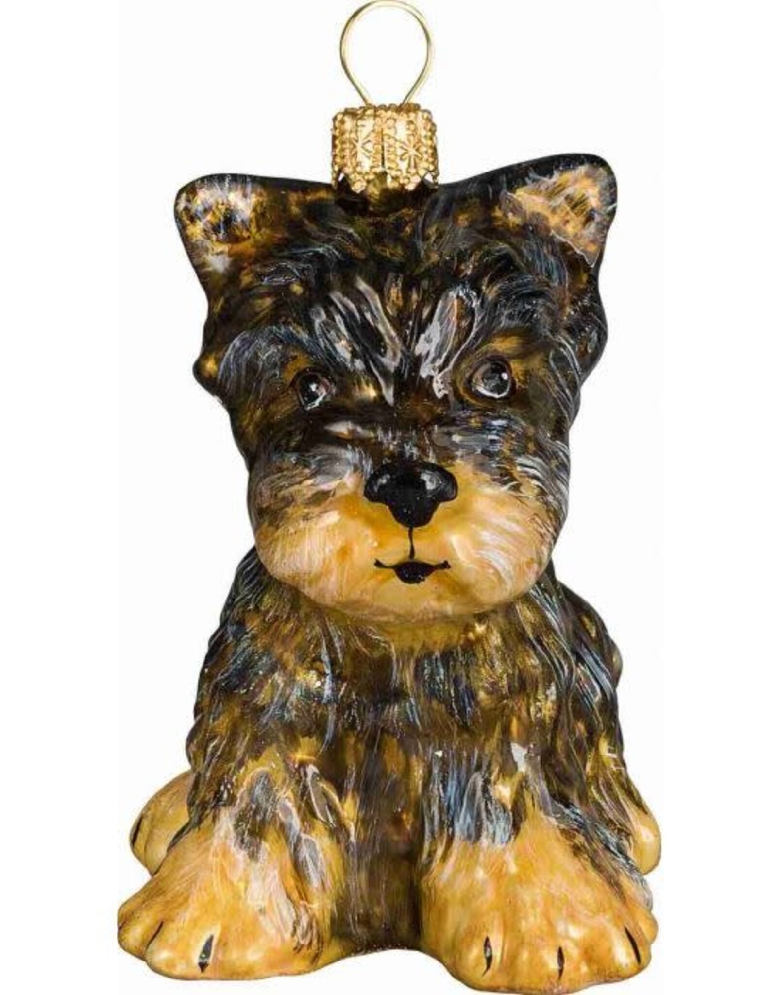 JTW Yorkshire Terrier Puppy