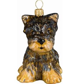 JTW Yorkshire Terrier Puppy