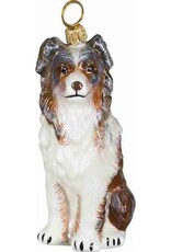 JTW Australian Shepherd