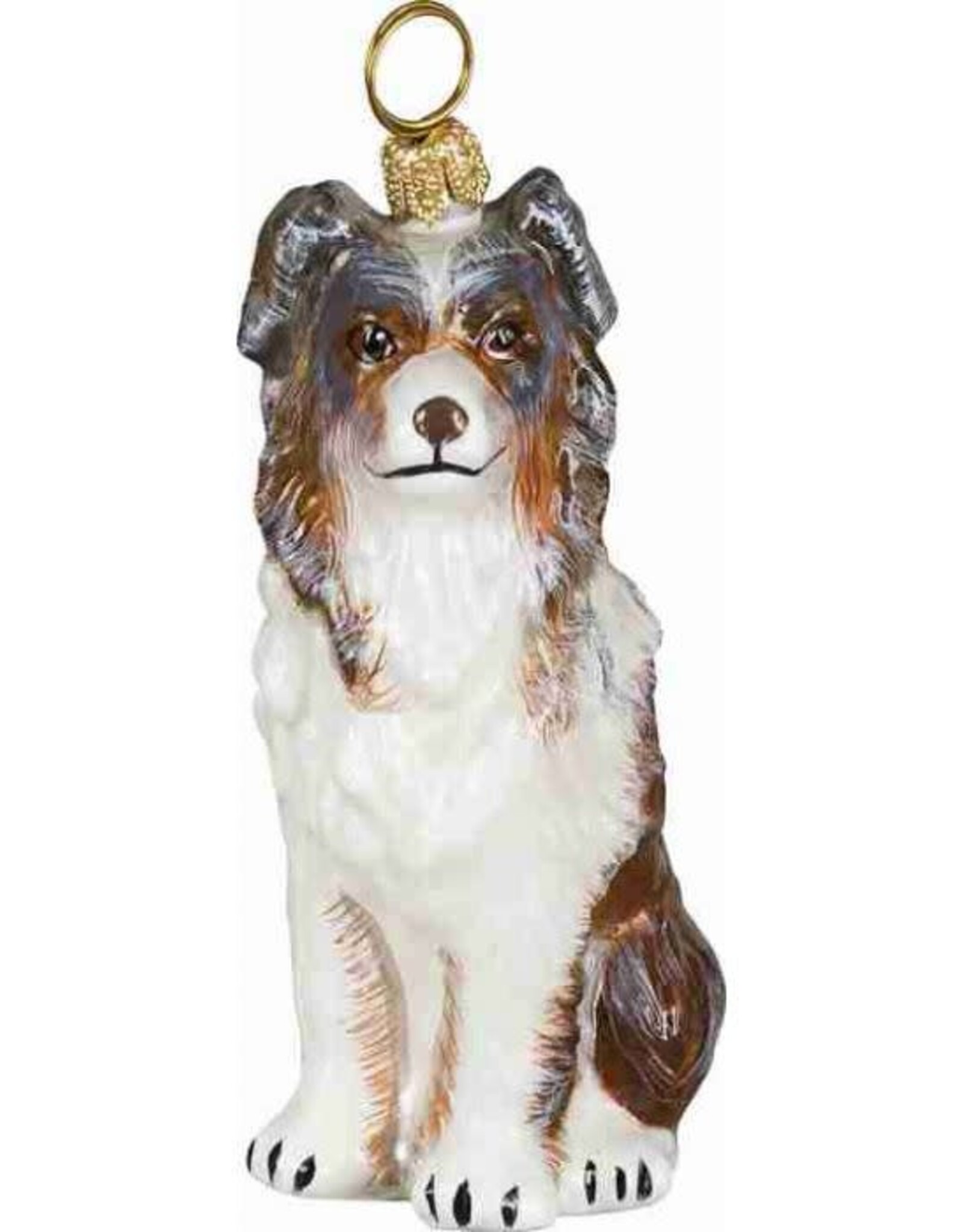 JTW Australian Shepherd