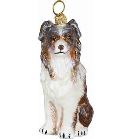 JTW Australian Shepherd