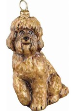 JTW Labradoodle Brown