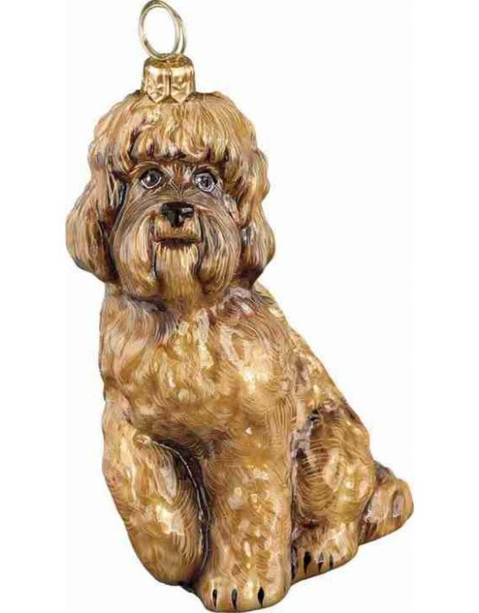 JTW Labradoodle Brown