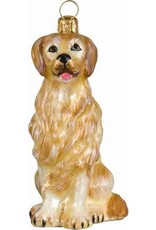 JTW Golden Retriever