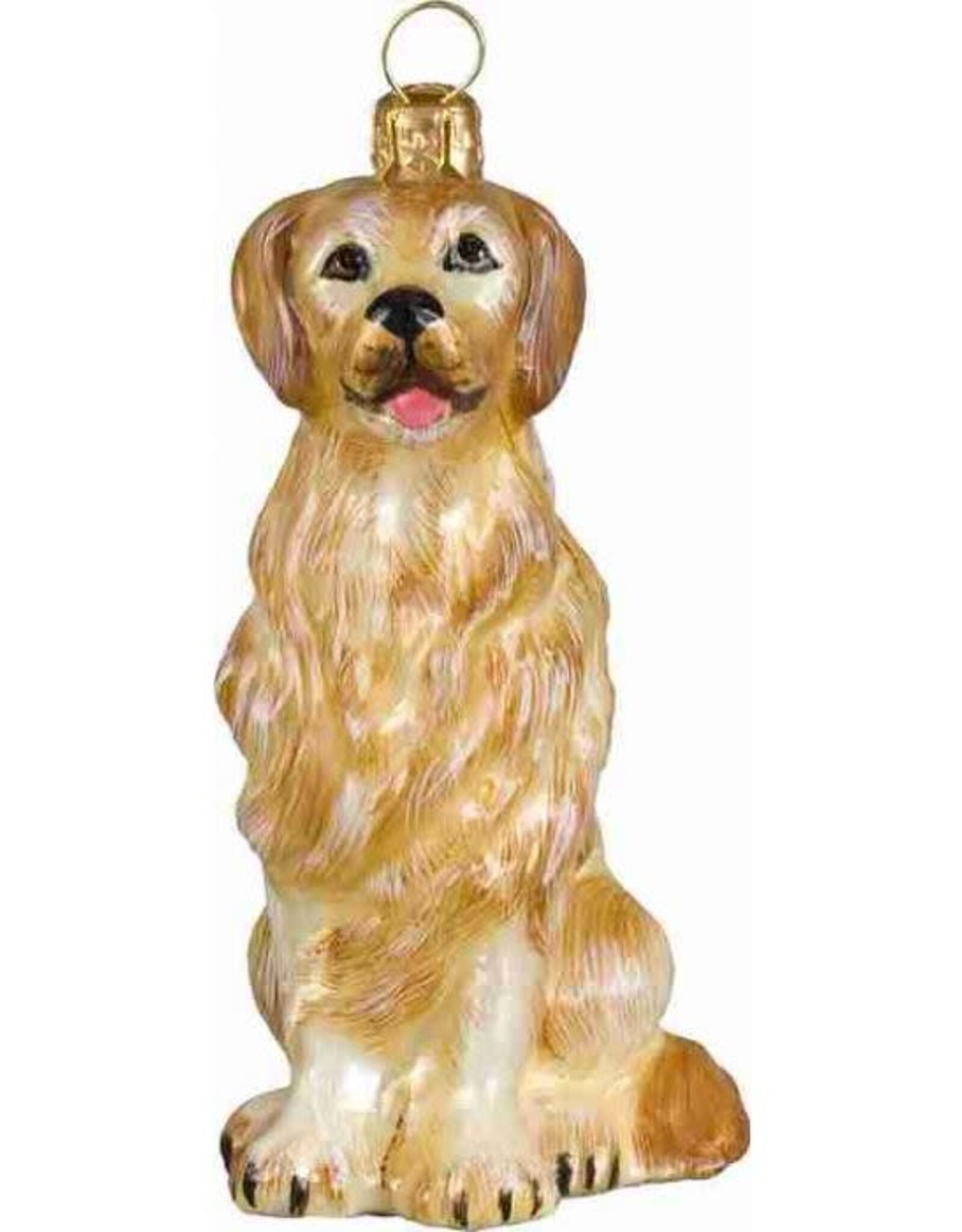 JTW Golden Retriever