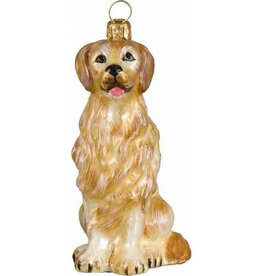 JTW Golden Retriever