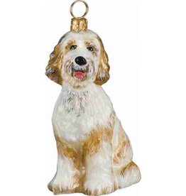JTW Goldendoodle