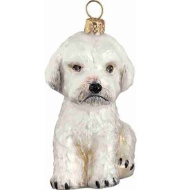 JTW Maltipoo White