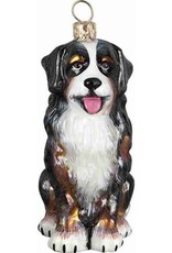 JTW Bernese Mountain Dog - Sitting