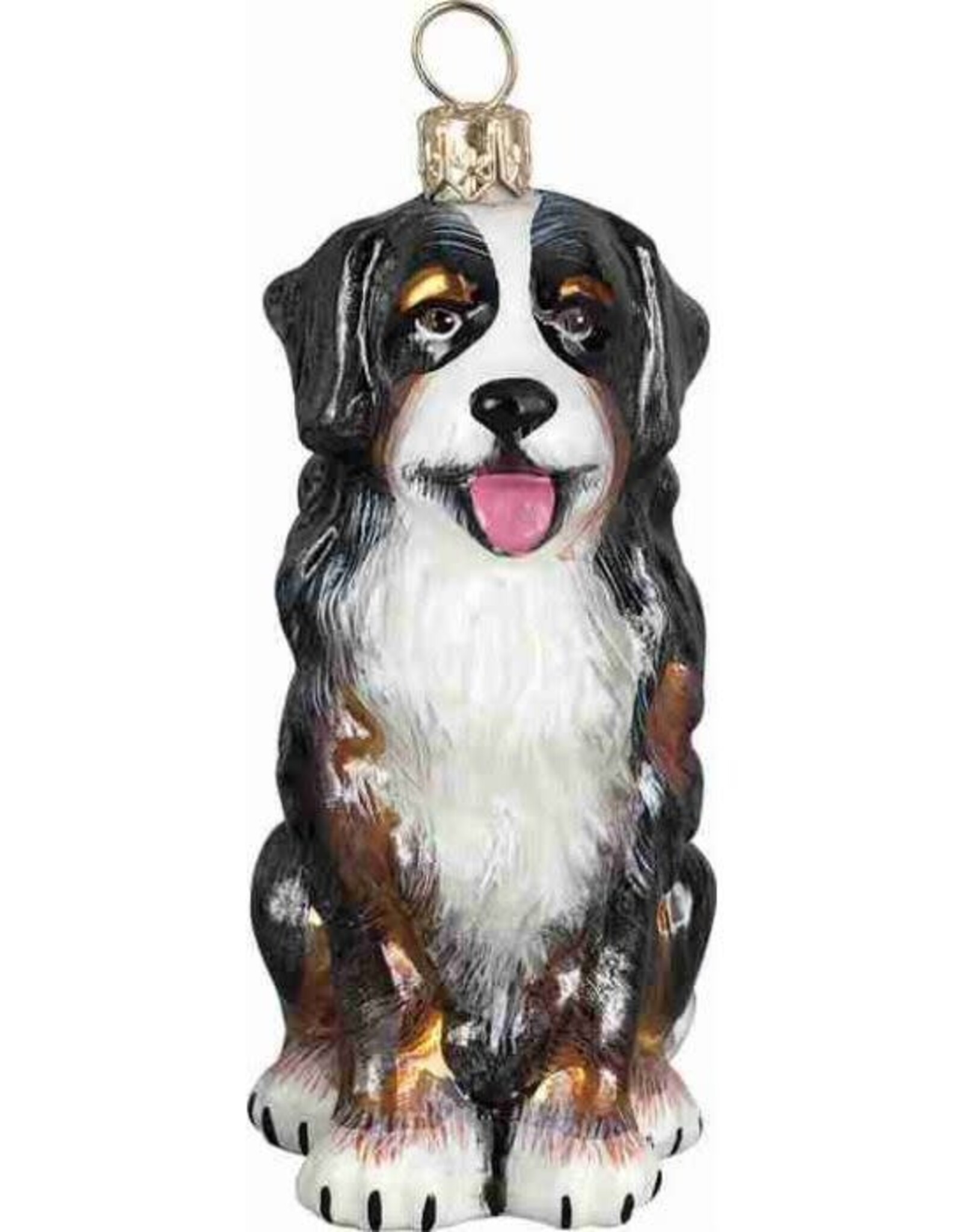 JTW Bernese Mountain Dog - Sitting