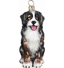JTW Bernese Mountain Dog - Sitting