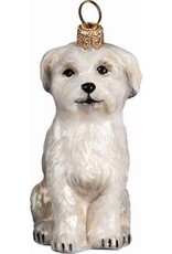 JTW Matlese Sitting Position - Puppy Cut