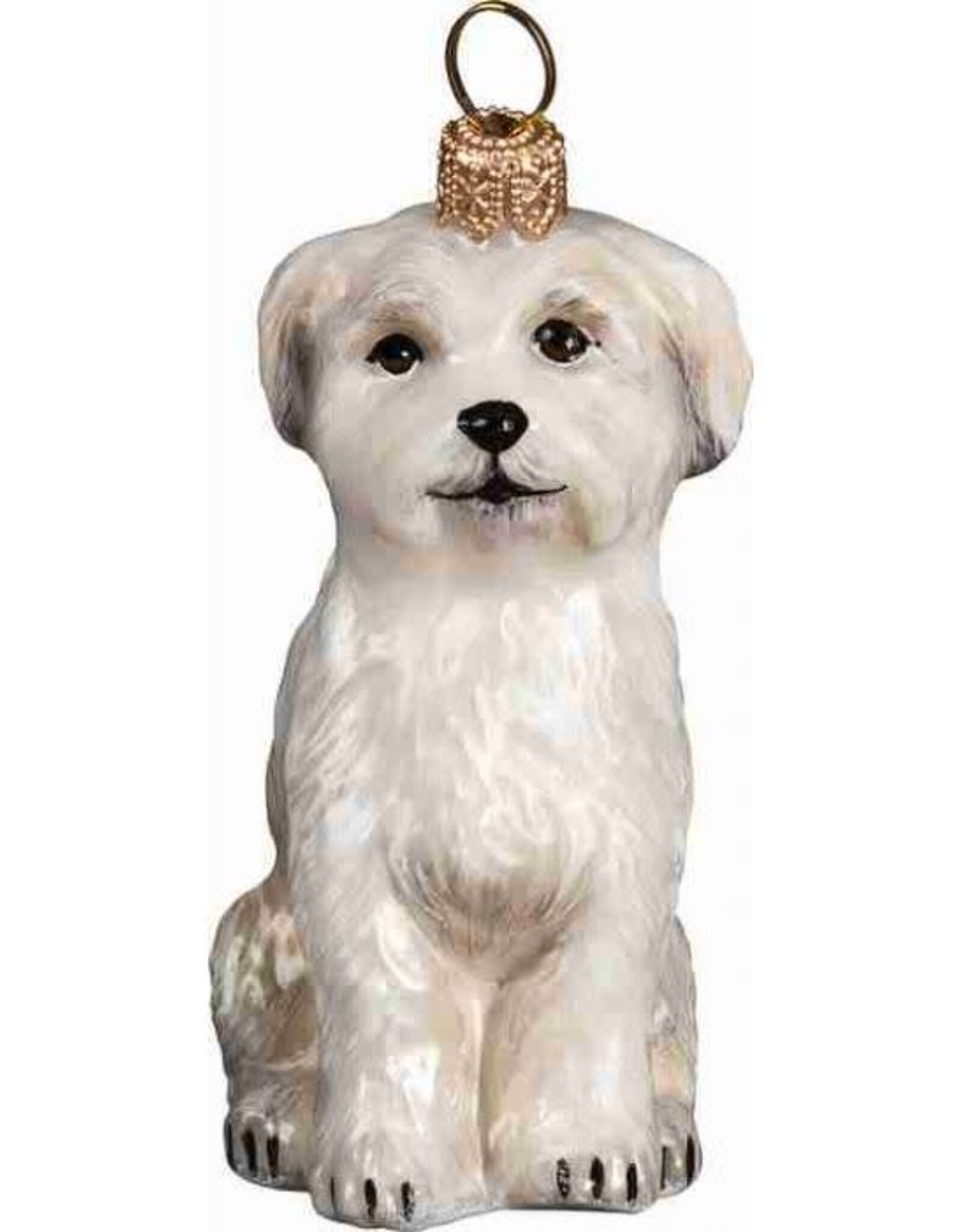 JTW Matlese Sitting Position - Puppy Cut