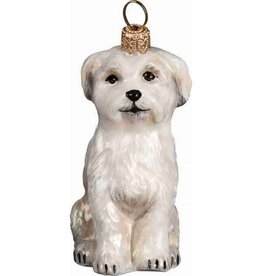JTW Matlese Sitting Position - Puppy Cut