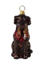 JTW Chocolate Lab in Vest with Leash