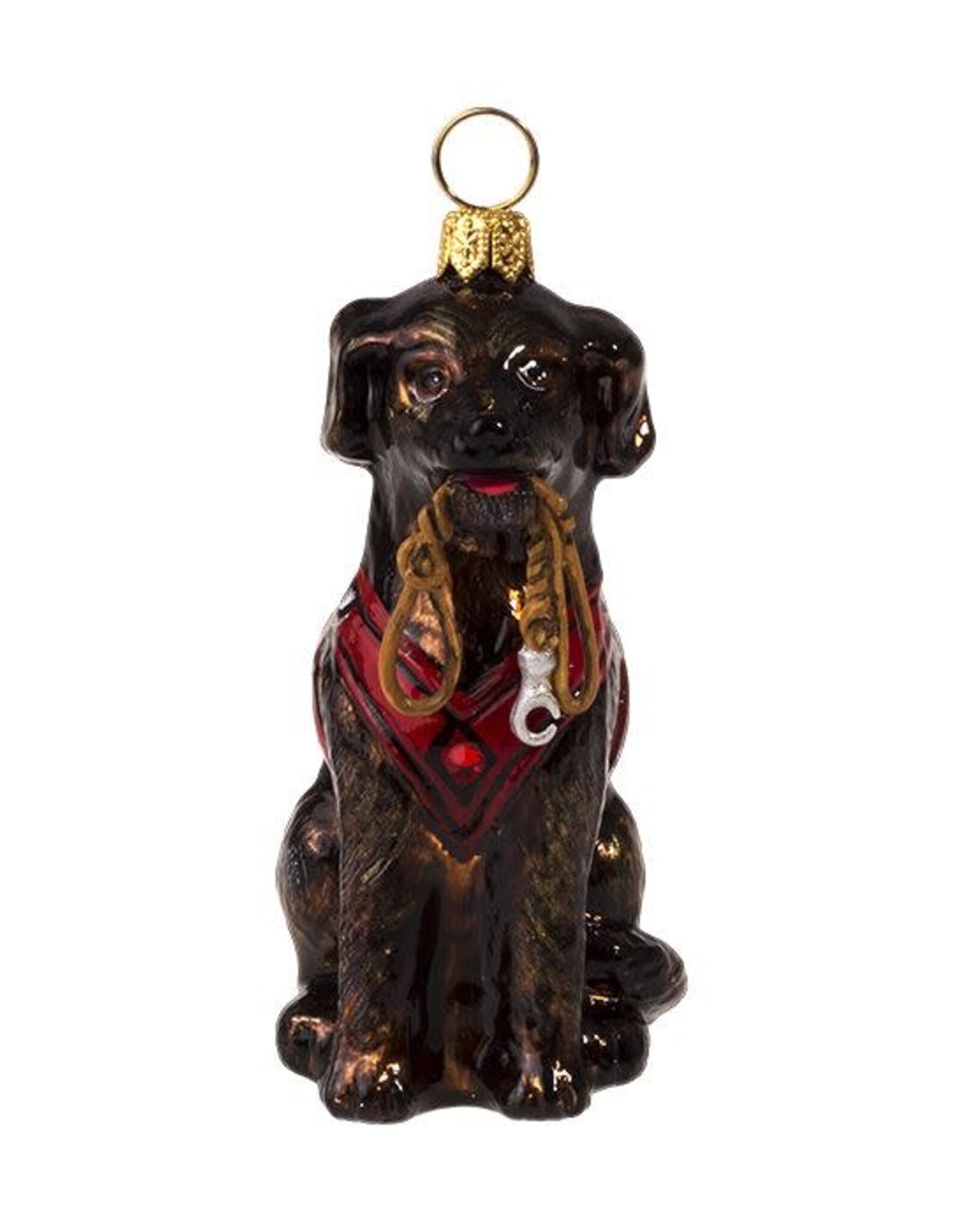 JTW Chocolate Lab in Vest with Leash