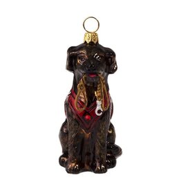 JTW Chocolate Lab in Vest with Leash