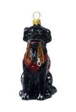 JTW Black Labrador Retriever with Vest & Leash