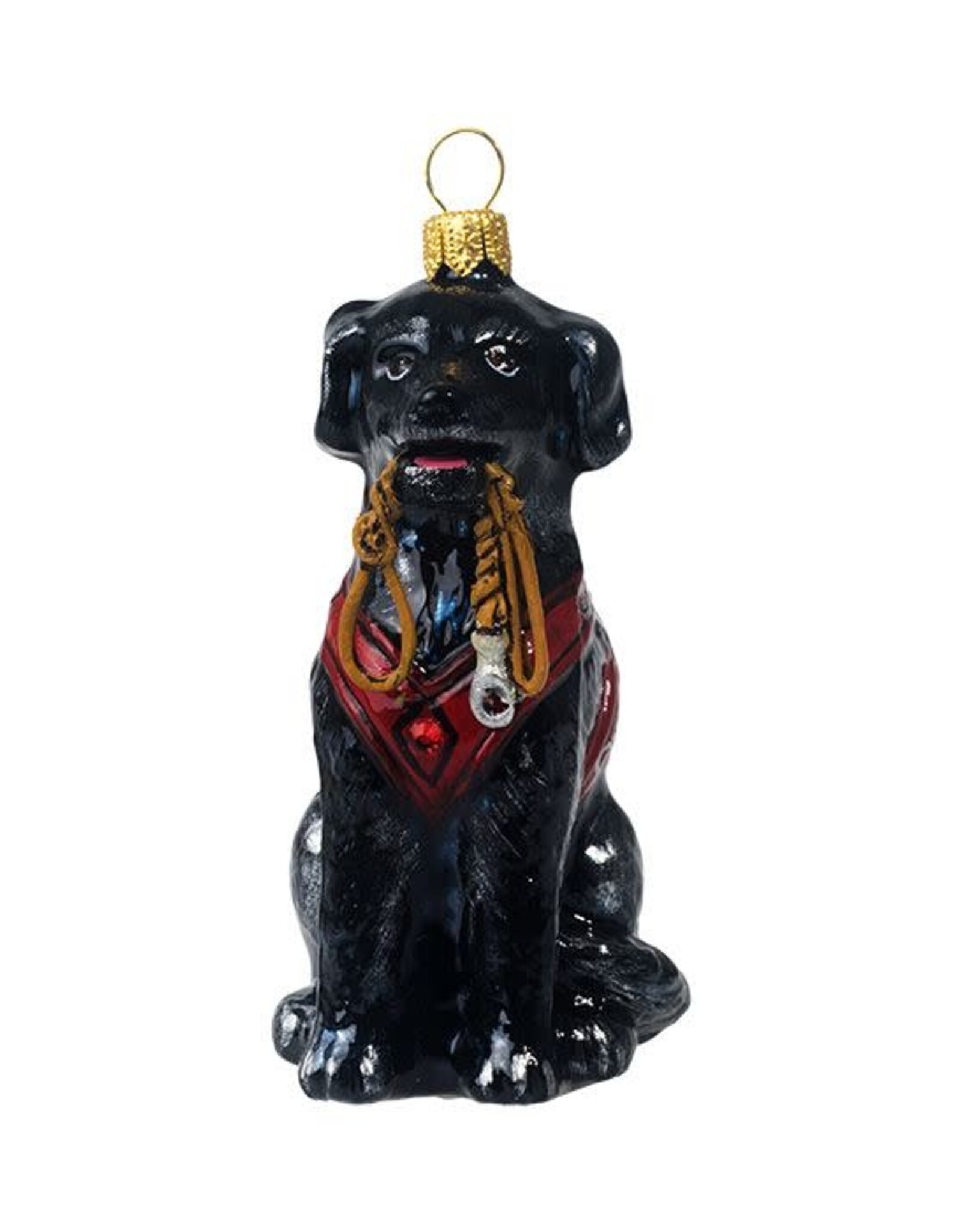 JTW Black Labrador Retriever with Vest & Leash