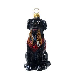 JTW Black Labrador Retriever with Vest & Leash