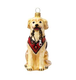 JTW Yellow Lab with Vest & Leash