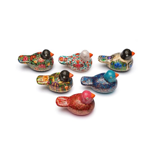 Paradise Parakeet Box
