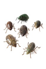 Zimbabwe Stone & Wire Beetles, Assorted, Zimbabwe