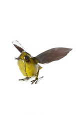 Zimbabwe Recycled Metal Fluttering Bird Sculpture, Zimbabwe