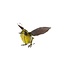 Recycled Metal Fluttering Bird Sculpture