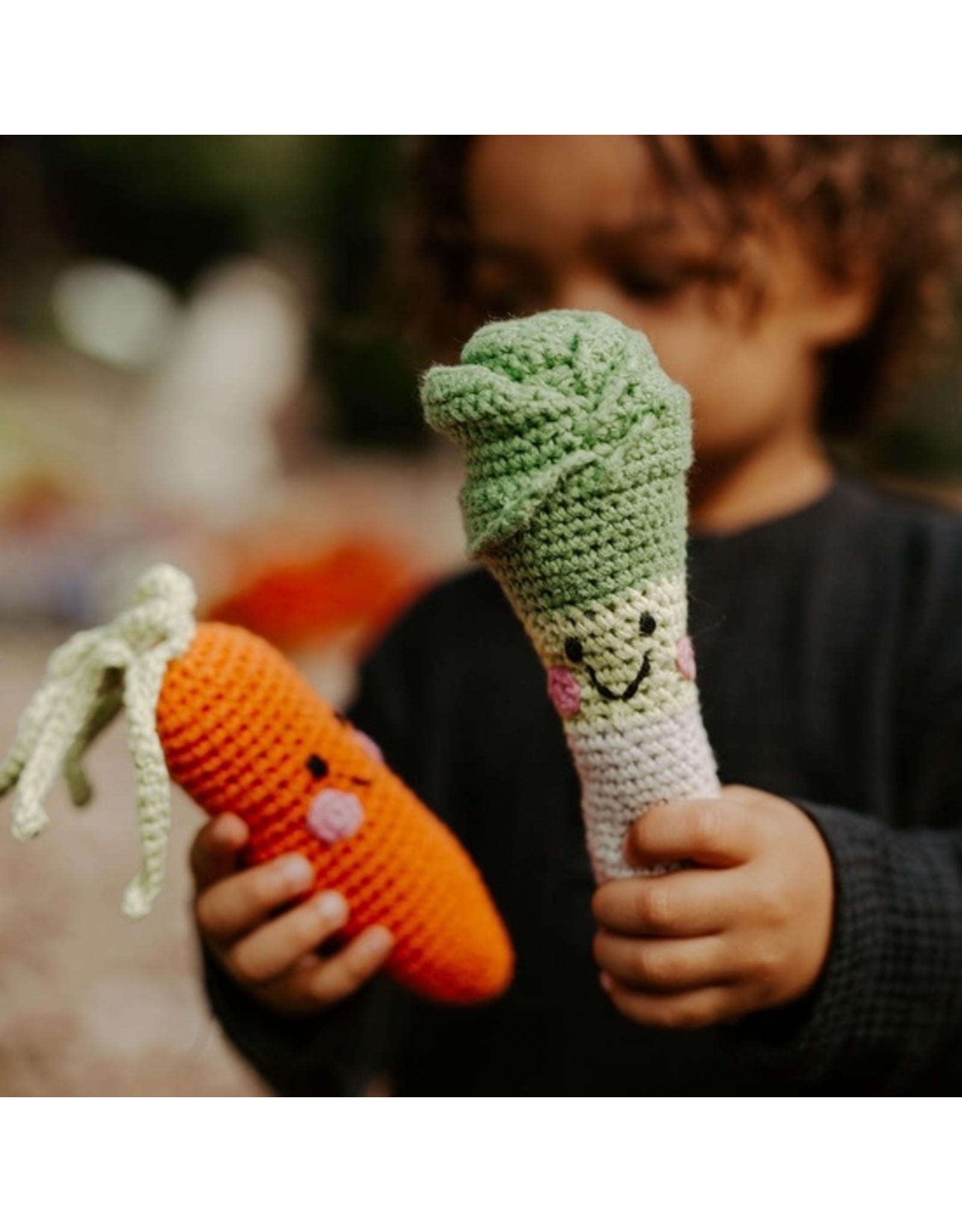 Bangladesh Friendly Leek Rattle, Bangladesh.