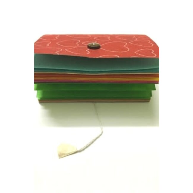 Tiny Journal w/ Coloured Pages