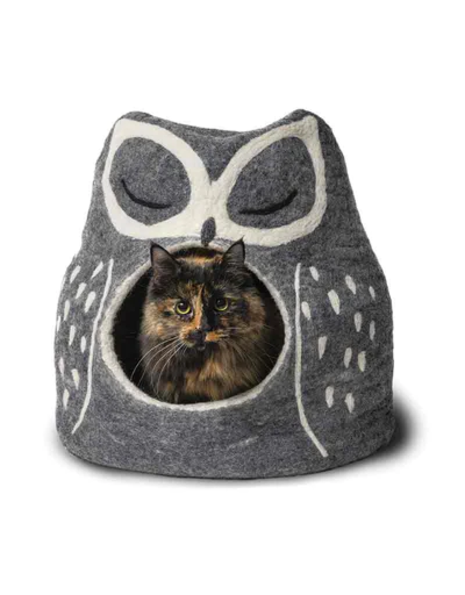 Nepal Grey Owl Cat Cave, Nepal