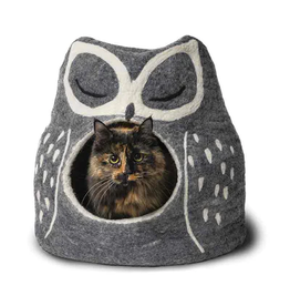 Nepal Grey Owl Cat Cave, Nepal