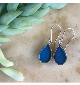 Peru Blue Morpho Butterfly Earrings, Peru