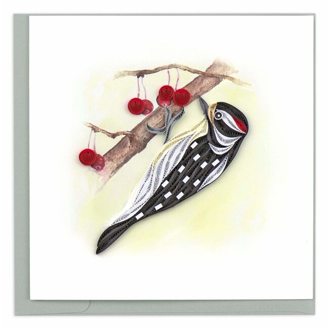 Quilled Card - Downy Woodpecker