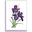 Vietnam Mini Quilled Card - Iris