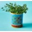 India Henna Treasure Metal Herb Planter