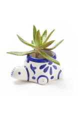 India Lalita Mini Succulent Turtle Planter, India