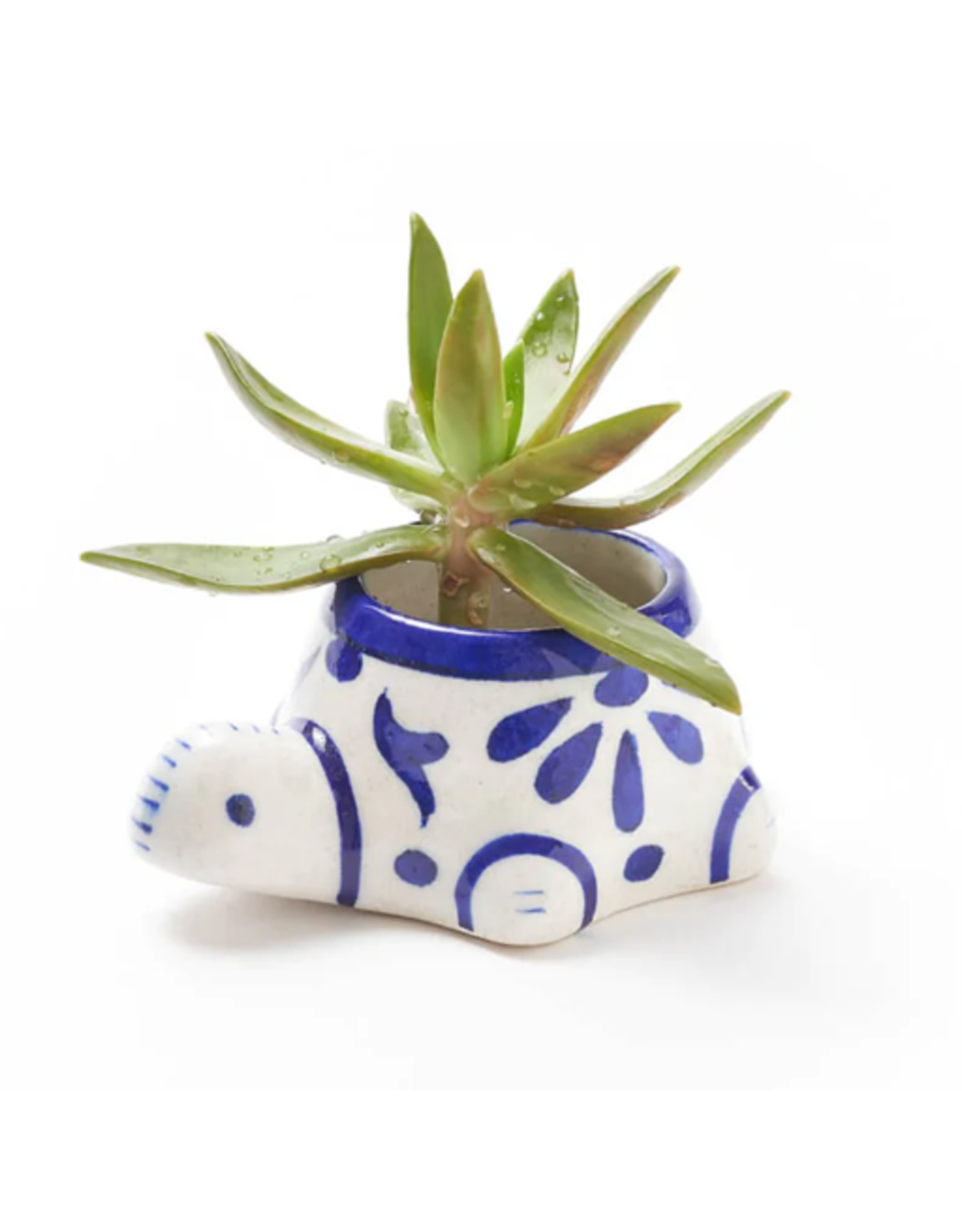 India Lalita Mini Succulent Turtle Planter, India