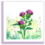 Quilled Card -  Thistle