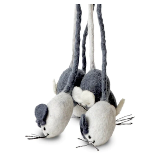 Nepal Mouse Cat Teaser Nepal Mouse Cat Teaser