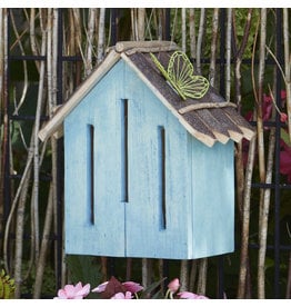 Philippines Tranquil Teal Takip Butterfly House, Philippines