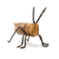 Kenya Banana Fibre Grasshopper