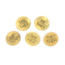 India Brass Pronoun Pins