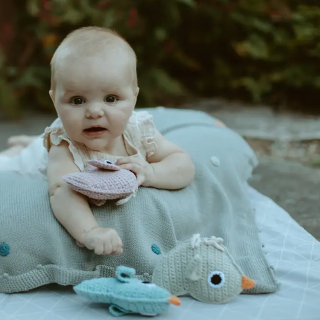 Crochet Rattle - Little Blue Bird